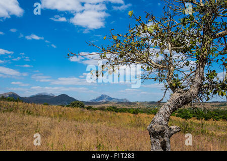 Felsmalereien von Chongoni Bereich, UNESCO World Heritage Site, Malawi, Afrika Stockfoto