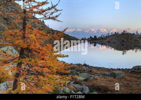 Sonnenaufgang am Monte Rosa gesehen von Lac Blanc, natürlicher Park des Mont Avic, Aosta-Tal, Graian Alpen, Italien, Europa Stockfoto