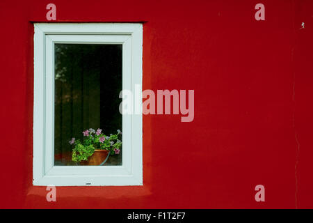 Weiße Fenster auf einer roten Wand auf der Straße Russland Stockfoto