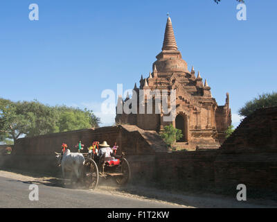 Pferd und Wagen durch buddhistische Tempel von Bagan, Myanmar (Burma), Asien Stockfoto