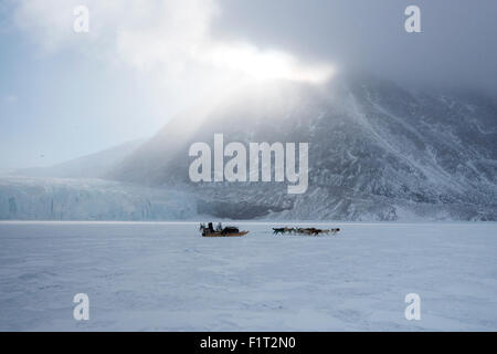 Inuit-Jäger und sein Hundeteam Reisen am Meer Eis, Grönland, Dänemark, Polarregionen Stockfoto