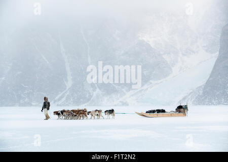 Inuit-Jäger zu Fuß sein Hundeteam auf das Meereis in den Polargebieten ein Schnee-Sturm, Grönland, Dänemark, Stockfoto