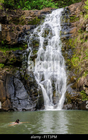 Waimea Falls, Waimea Valley Audubon Park, North Shore, Oahu, Hawaii, Vereinigte Staaten von Amerika, Pazifik Stockfoto