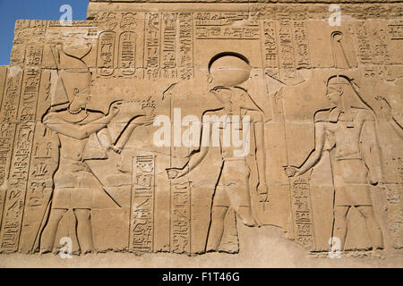 Reliefs an Wänden, Tempel von Haroeris und Sobek, Kom Ombo, Ägypten, Nordafrika, Afrika Stockfoto