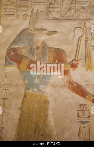 Basrelief der Gott Anubis, Tempel von Sethos i., Abydos, Ägypten, Nordafrika, Afrika Stockfoto