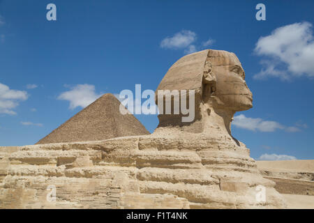 Sphinx im Vordergrund und die große Pyramide von Cheops, die Pyramiden von Gizeh, UNESCO-Weltkulturerbe, Gizeh, Ägypten, Nordafrika Stockfoto