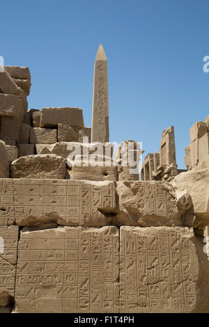 Hierogyliphics im Vordergrund, Obelisk Thutmosis im Hintergrund, Karnak Tempel, Luxor, Theben, UNESCO, Ägypten, Nordafrika Stockfoto