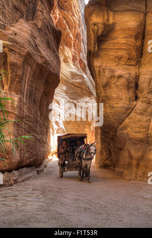 Horsecart im Siq, Petra, UNESCO World Heritage Site, Jordanien, Naher Osten Stockfoto