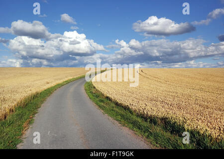 Asphaltierten Weg zwischen Weizen Felder bei bewölktem Himmel in den belgischen Ardennen Stockfoto