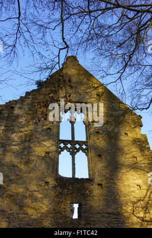 Reste der Minster Lovell Hall, Oxfordshire, Vereinigtes Königreich Stockfoto