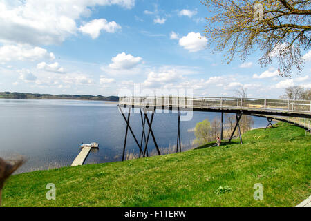 Sicht des alten Holzsteg auf See unter Bäumen auf Wiese, auf blauen Wolkenhimmel Hintergrund. Stockfoto