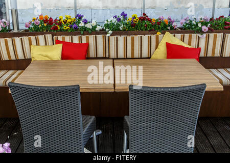 Vorderansicht des ein Holztisch, schwarzen Stühlen und einem Sofa mit gelben Blumen in Töpfen herum. Stockfoto