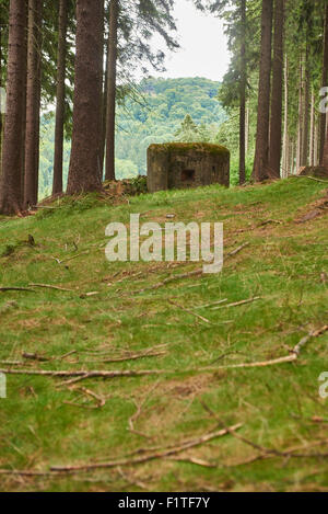 Ropik Bunker - tschechoslowakischen - Deutschland Grenzanlagen Stockfoto