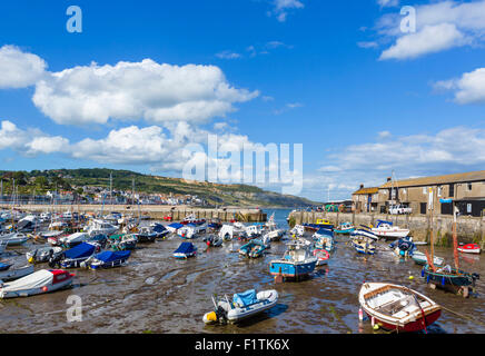 Die Cobb und den Hafen bei Ebbe, Lyme Regis, Lyme Bay, Jurassic Coast, Dorset, England, UK Stockfoto