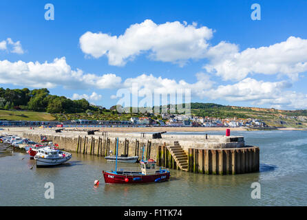 Die Cobb und den Hafen bei Ebbe mit der Stadt hinter Lyme Regis, Lyme Bay, Jurassic Coast, Dorset, England, UK Stockfoto