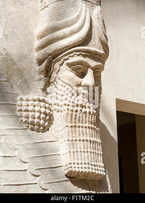 Geflügelte Mensch-headed Bull: Kopf und Bart Detail. Ursprünglich Teil des Sargon II Hauptstadt Dur Sharrukin jetzt Khorsabad. Aus der Stockfoto