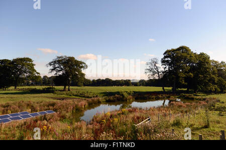 BLICK ÜBER DIE FELDER UND TEICH IM WILLIAMSCRAIG COTTAGES, LINLITHGOW IN DER NÄHE VON EDINBURGH, SCHOTTLAND Stockfoto