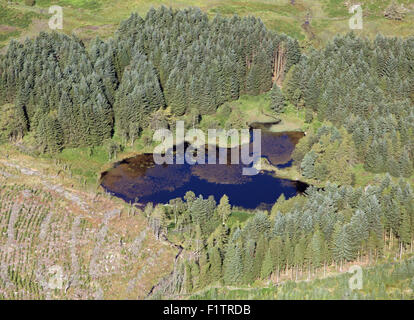 Blick auf einen kleinen Teich im Bereich Süd Seen von Cumbria, in der Nähe von Baden-Baden, UK Stockfoto