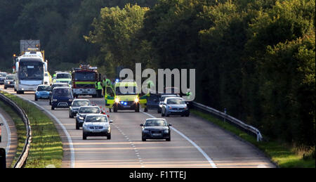 M3 in der Nähe von Winchester, UK. 7. September 2015.   M3 Hampshire, Polizei, Umgang mit einem "tödlichen Kollision" auf der M3 Richtung Norden zwischen den Anschlussstellen acht und neun Uhr Micheldever. Zwei Fahrzeug Bene beteiligt haben und man hat übrig Straße und am Ende oben im Baum hängenden in eine Autobahn-Schlucht. Ein Sprecher von Hampshire Constabulary sagte: "Wir tun mit einem ernsthaften Zusammenstoß auf der M3 in nördlicher Richtung am Micheldever führte zu einer der beiden Bahnen geschlossen hat, ist es wahrscheinlich auf diese Weise für einige Zeit bleiben. Bildnachweis: Jason Kay/Alamy Live News Stockfoto