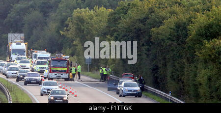 M3 in der Nähe von Winchester, UK. 7. September 2015.   M3 Hampshire, Polizei, Umgang mit einem "tödlichen Kollision" auf der M3 Richtung Norden zwischen den Anschlussstellen acht und neun Uhr Micheldever. Zwei Fahrzeug Bene beteiligt haben und man hat übrig Straße und am Ende oben im Baum hängenden in eine Autobahn-Schlucht. Ein Sprecher von Hampshire Constabulary sagte: "Wir tun mit einem ernsthaften Zusammenstoß auf der M3 in nördlicher Richtung am Micheldever führte zu einer der beiden Bahnen geschlossen hat, ist es wahrscheinlich auf diese Weise für einige Zeit bleiben. Bildnachweis: Jason Kay/Alamy Live News Stockfoto