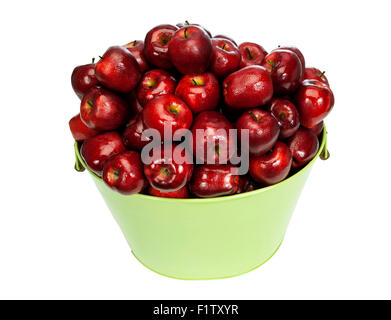 Tau bedeckt frisch gepflückte rote Äpfel im großen Eimer Stockfoto