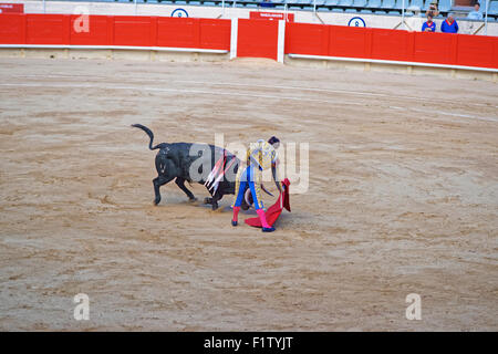 BARCELONA, Spanien - 1. August 2010: Corrida (Stierkampf), eine spanische nationale Belustigung auf ihrem Höhepunkt. Barcelona, Katalonien, Sp Stockfoto