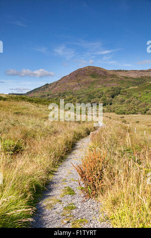 Die Southern Uplands Weise wie es durchzieht die Galloway Hills in Glentrool, Dumfries and Galloway, Schottland. Stockfoto