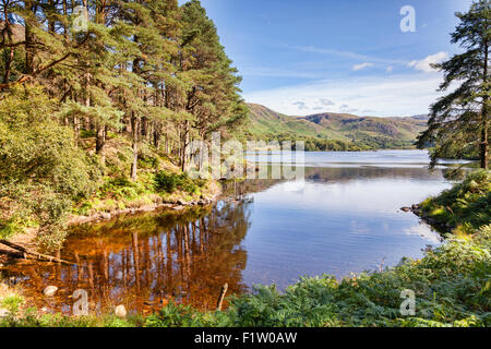 Loch Trool und Galloway Hills, Dumfries and Galloway, Schottland. Stockfoto