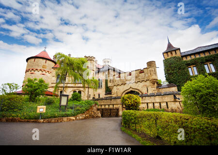 Tore zum Schloss Lichtenstein Stockfoto