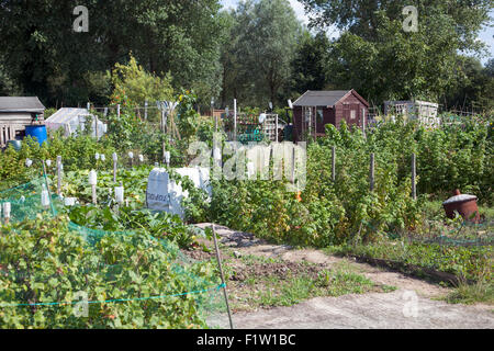 Eine Zuteilung in Hertfordshire, England Stockfoto