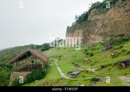 Die Außenwände der Kuelap Zitadelle der alten Chachapoyas Kultur in der Amazonas Region von Nord-Peru Stockfoto