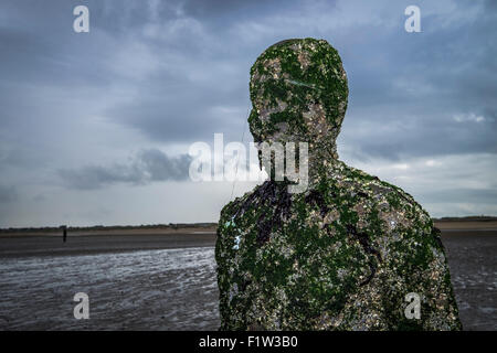 Antony Gormley ein weiterer Ort, bedeckt Barnacle Skulpturen auf Crosby Strand Stockfoto