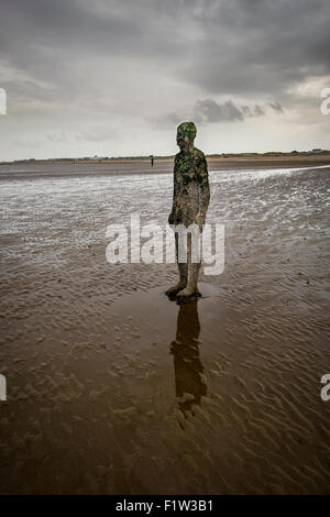 Antony Gormley ein weiterer Ort, bedeckt Barnacle Skulpturen auf Crosby Strand Stockfoto