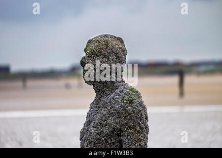 Antony Gormley ein weiterer Ort, bedeckt Barnacle Skulpturen auf Crosby Strand Stockfoto