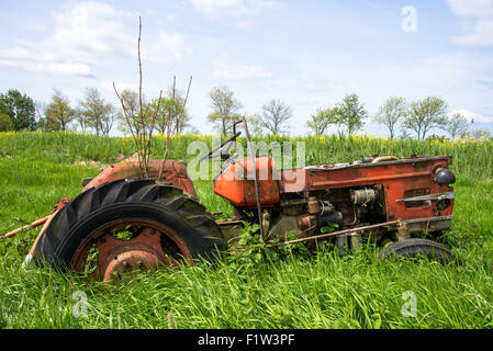 alte rote und verrosteten Traktor auf Wiese in den Niederlanden Stockfoto