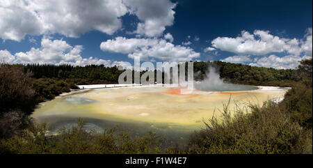 Wai-o-Tapu geothermal Bereich in Rotorua, Nordinsel, Neuseeland Stockfoto