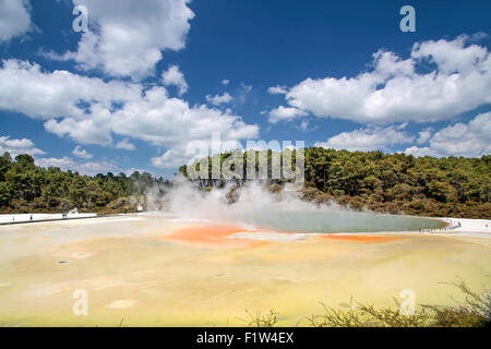 Champagne Pool, Wai-o-Tapu geothermal Bereich in Rotorua, Nordinsel, Neuseeland Stockfoto