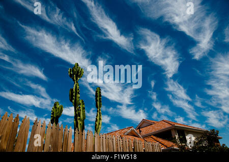 Cirrus Wolkenbildung Stockfoto