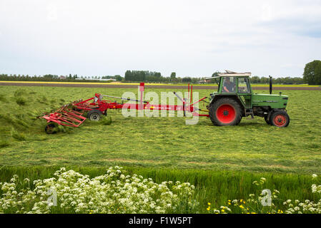 Landwirt mit Traktor auf seinen Rasen in der Sonne trocknen drehen Ackerland Stockfoto