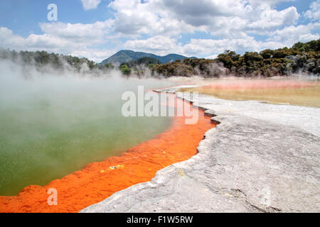 Champagne Pool, Wai-o-Tapu geothermal Bereich in Rotorua, Nordinsel, Neuseeland Stockfoto