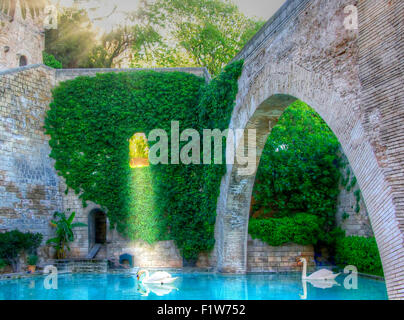 Zwei Schwäne in einem abgelegenen Teich in einer alten Kirche. Stockfoto