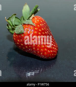 Rote Erdbeere mit einer Reflexion. Stockfoto