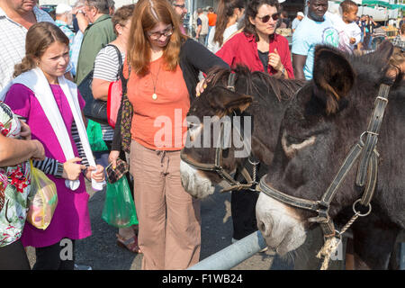 Menge und Esel am Rouillac Markt, Charente Maritime, Frankreich Stockfoto