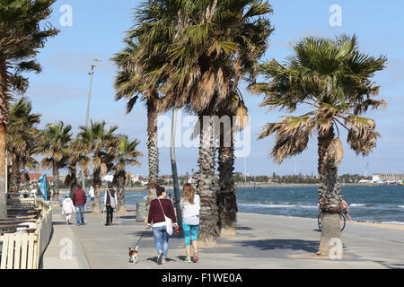 Zwei Frauen gehen einen Hund am Strand von St Kilda in Melbourne, Australien. Stockfoto