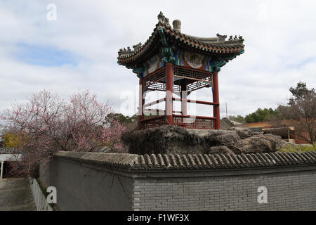 Der chinesische Bezirk (Dai Gum San) in Bendigo, Victoria. Stockfoto