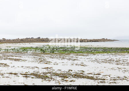 Marazion Strand bei Ebbe an einem nebeligen Tag, Cornwall, UK Stockfoto