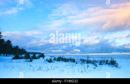 Winter-Küstenlandschaft mit kleinen Bäumen an Ostseeküste unter bewölktem Himmel bunten Abend. Golf von Finnland, Russland Stockfoto