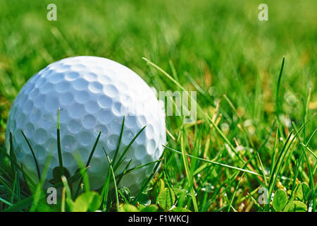 Nahaufnahme des Golfballs ruht im Rasen und Platz für Kopie Stockfoto