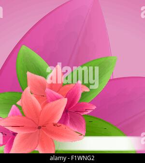 Abbildung rosa und rote Frangipani (Plumeria), exotische Blumen Stock Vektor