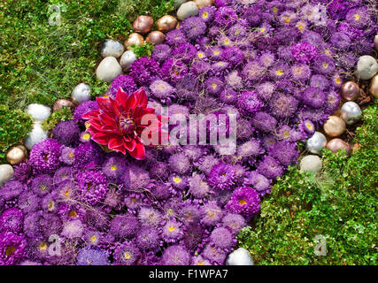 Bett mit violetten Astern und gold stones Stockfoto